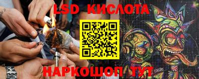 таблы Камень-на-Оби