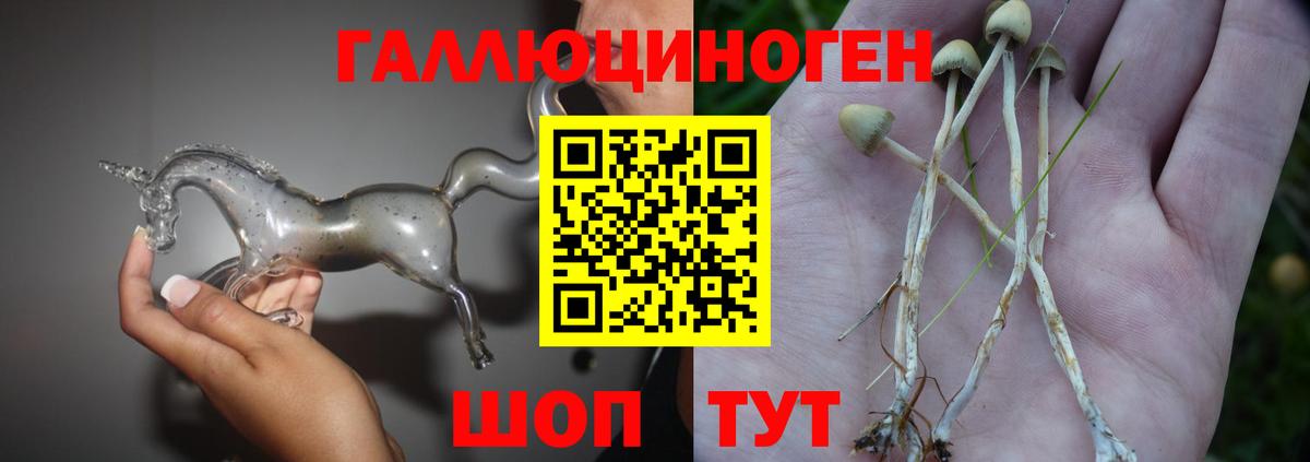 Псилоцибиновые грибы Psilocybine cubensis  Псилоцибиновые грибы MAGIC MUSHROOMS  Сунжа  Вход с VPN 